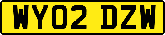 WY02DZW