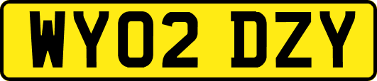 WY02DZY