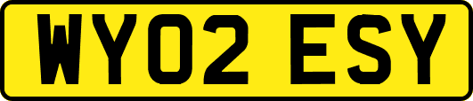 WY02ESY