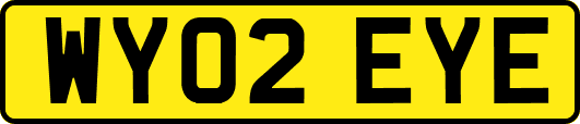WY02EYE