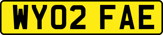WY02FAE