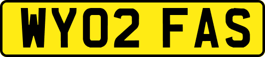 WY02FAS