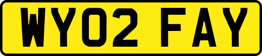WY02FAY