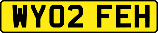 WY02FEH