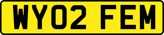 WY02FEM