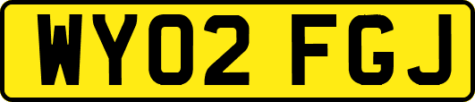 WY02FGJ