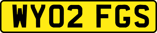 WY02FGS