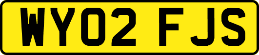 WY02FJS