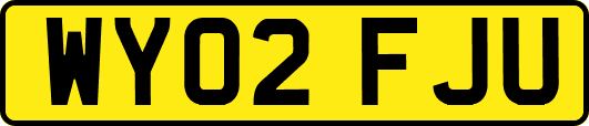 WY02FJU