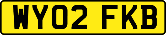 WY02FKB