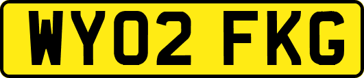 WY02FKG