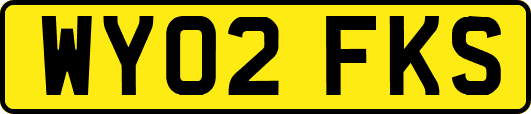 WY02FKS