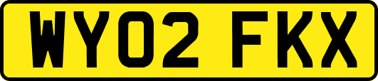 WY02FKX
