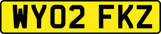 WY02FKZ
