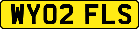 WY02FLS