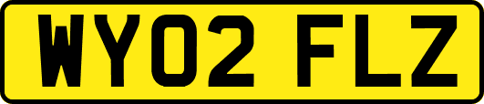 WY02FLZ