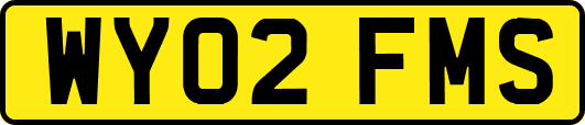 WY02FMS