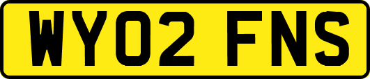 WY02FNS