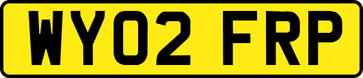 WY02FRP