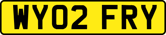 WY02FRY