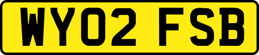 WY02FSB