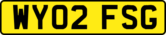 WY02FSG