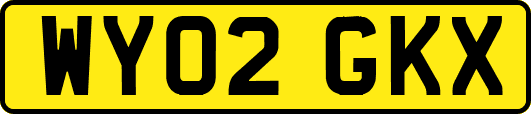 WY02GKX