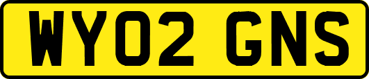 WY02GNS