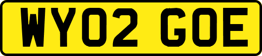 WY02GOE