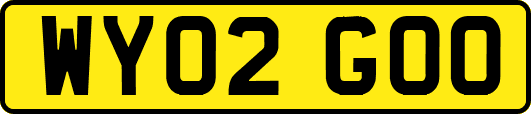WY02GOO
