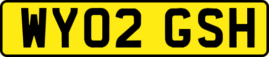 WY02GSH