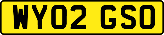 WY02GSO