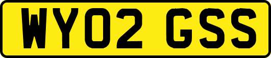 WY02GSS