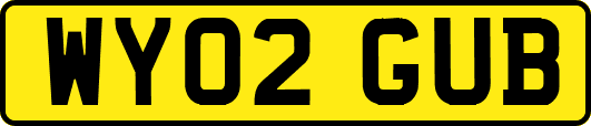 WY02GUB