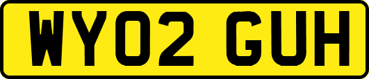 WY02GUH
