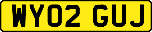 WY02GUJ