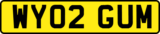 WY02GUM