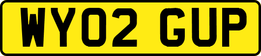 WY02GUP
