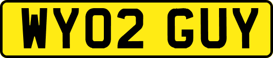 WY02GUY
