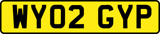 WY02GYP
