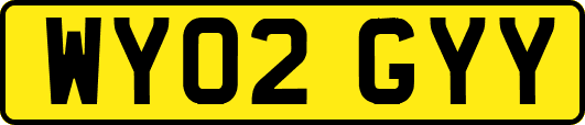 WY02GYY