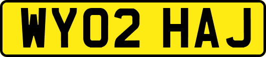 WY02HAJ