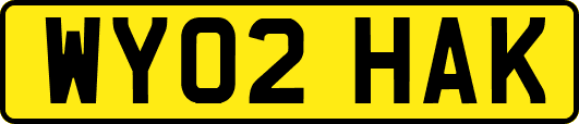 WY02HAK