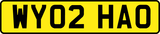 WY02HAO