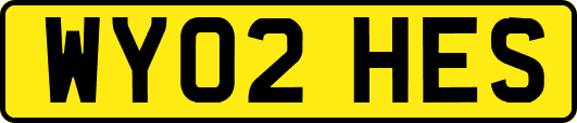 WY02HES