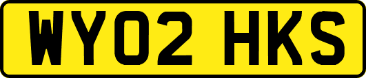 WY02HKS