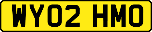 WY02HMO