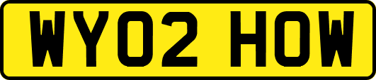 WY02HOW