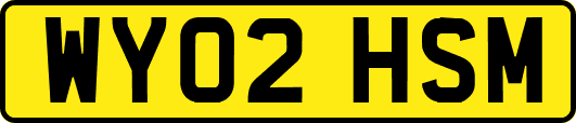 WY02HSM