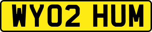 WY02HUM